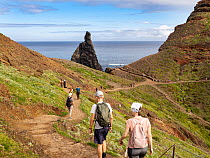 Hikers walking on cliff top footpath, Baia d'Abra, Sao Laurenco Peninsular, Madeira. March, 2023.