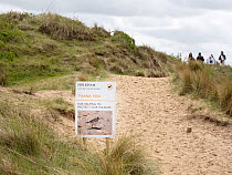 Sign among sand dunes on beach thanking people for helping to protect wildlife, with group of people in background, Holkham Nature Reserve, Norfolk, UK. May, 2023.