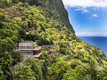 House under construction on hillside surrounded by Laurel (Laurus nobilis) forest, Arco de Sao Jorge, Madeira. March, 2023.