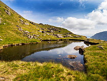 Hard Tarn below Nethermost Pike in the Helvellyn range, Lake District, Cumbria, UK. June, 2023.