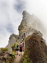Hikers on hiking path from Pico Ruivo mountain to Arieiro mountain peak, Madeira. March, 2023.