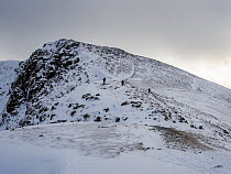 Three hiikers on Dollywagon Pike in the Helvellyn range in winter, Lake District, Cumbria, UK. January, 2023.