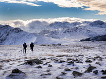 Two hikers on Hindscarth mountain in winter, with view looking towards Great Gable and the Scafell range, Lake District, Cumbria, UK. January, 2023.