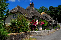 Thatched cottage with garden, Piddletrenthide, Dorset, UK, June 2022.