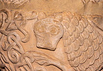 Representation of Lion's (Panthera leo) head with raised paw representing evil on Eardisley Font, carved in the mid 12th century in the Romanesque style, Herefordshire, England, UK.
