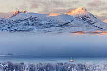 Boat on the sea shrouded in mist in winter with snow covered trees and mountains, Kvaloya, Troms, Norway. February, 2023.