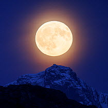 Full moon over mountain peak, viewed from Naustholmen, Nordland, Norway. May, 2023.
