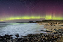 Aurora borealis and shooting star in night sky over Horgabost Beach with foreground lit by moonlight, Isle of Harris, Outer Hebrides, Scotland, UK. February, 2023.