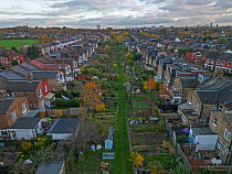 Aerial view of urban allotment surrounded by housing with city in background, London, England.