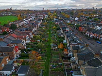 Aerial view of urban allotment surrounded by housing with city in background, London, England.