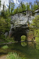 River under natural stone arch in karst landscape, Rakov Skocjan, Notranjskiu Regijski Park, Slovenia. May, 2023.