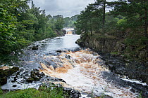 Low Force Waterfall on the River Tees, Upper Teesdale, Northern Pennines, County Durham, England, UK, July.