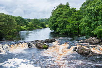 Low Force Waterfall on the River Tees, Upper Teesdale, Northern Pennines, County Durham, England, UK, July, 2017.