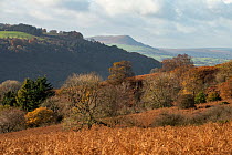 Graig Syfyrddin with The Skirrid behind in Brecon Beacons National Park, Wales, as seen from Garway Hill, Herefordshire, England, UK, November 2023.