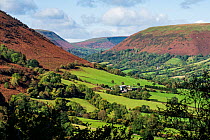 Fields in the lowlands of the Vale of Ewyas, Llanthony, Brecon Beacons National Park, Wales, UK, October 2023.