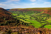 View of Vale of Ewyas from the Ffridd, Llanthony, Brecon Beacons National Park, Wales, UK, October 2023.