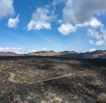 Burnt forest on lava field, Chulyu Hills, Tsavo West National Park, Kenya. August, 2022.