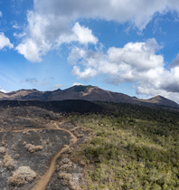Road through forest on lava field from volcanic eruption, with one side of the forest dead, Chulyu Hills, Tsavo West National Park, Kenya. August, 2022.