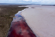 Aerial view of red Halobacteria in Lake Magadi, Great Rift Valley, Kenya. March, 2023.