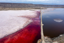 Aerial view of track running through middle of Lake Magadi, with pink Halobacteria in water, Great Rift Valley, Kenya. March, 2023.