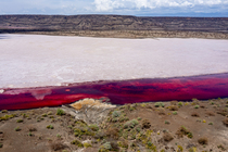 Aerial view of red Halobacteria in salt lake, Lake Magadi, Great Rift Valley, Kenya. March, 2023.