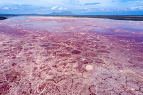 Aerial view of pink Halobacteria in Lake Magadi with volcanoes behind, Great Rift Valley, Kenya. March, 2023.
