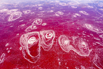 Aerial view of pink Halobacteria in Lake Magadi, Great Rift Valley, Kenya. March, 2023.