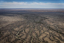 Aerial view showing rivulets formed by rains coming into desert. ? Merrimelia flood plain, South Australia, Australia. July, 2022.