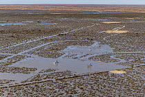 Aerial view over flooded mining infrastructure in the Lake Eyre basin, Tirrawarra Swamp, Gidgealpa, South Australia, Australia. July, 2022.