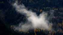 Timelapse of water evaporating from forested valley, Chur, Graubunden, Switzerland, October 2018. The camera pans up.