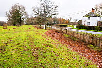 Park pale made up from an internal ditch and a wooden fence, beside house, Moccas Park National Nature Reserve, Herefordshire, England, UK, December 2023. Fence made from cleft Oak wood.