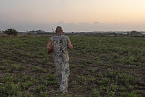 Maltese hunter with Maltese hunting dog walking through farmland carrying a shotgun, looking for Common quail (Coturnix coturnix) at dawn, Siggiewi, Malta. September, 2020. Model released.