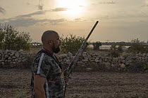 Maltese hunter walking through farmland with shotgun at dawn, hunting for Common quail (Coturnix coturnix), Siggiewi, Malta, September, 2020. Model released.