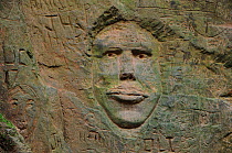 Carving of human face in sandstone wall of Shutes Lane holloway, Symondsbury, Dorset, England, UK, December 2023.