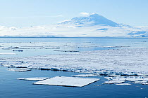 Sea ice on McMurdo Sound with Mount Terror in background, Cape Chocolate vicinity, , Ross Sea, Antarctica. February, 2023.