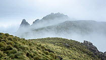 Mist over mountains, Campbell Island, New Zealand Sub Antarctic Islands. February, 2023.