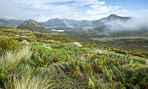 View of low cloud over mountains, Campbell Island, New Zealand Sub Antarctic Islands. February, 2023.