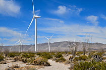 Wind turbines in the desert, near Ocoitillo, California, USA. June, 2023.