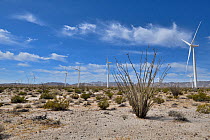 Wind turbines in the desert, near Ocoitillo, California, USA. June, 2023.