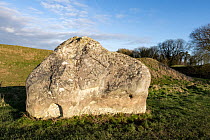 Standing stone in outer circle at Avebury Stone Circle and henge, dated to the Neolithic Period, Wiltshire, England, UK, January 2024. UNESCO World Heritage site.