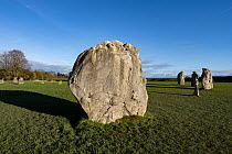 Standing stone in inner circle at Avebury Stone Circle and henge, dated to the Neolithic Period, Wiltshire, England, UK, January 2024. UNESCO World Heritage site.