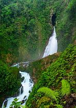 Waterfall in tropical, humid forest, Finca Sacmoc, Alta Verapaz, Guatemala. May, 2023.