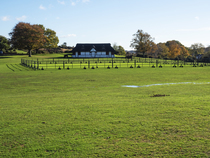 Village green with cricket pitch and club house, Bolton's Bench, Lyndhurst, New Forest National Park, Hampshire, England, UK. November, 2022.