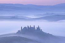 House and trees surrounded by mist at dawn, Val d'Orcia, San Quirico d'Orcia', Tuscany, Italy, May 2022.