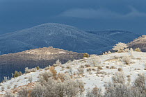Pirin Mountains with snow, Melnik, Bulgaria, January 2018.