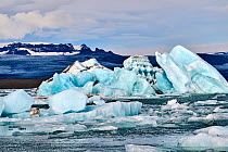 RF - Icebergs in glacial lagoon with glacier in background, Jokulsarlon ice lagoon, Vatnajokull National Park, Iceland. September. (This image may be licensed either as rights managed or royalty free....