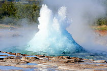 Strokkur Geyser erupting. Air bubbles bloat the expanding top of the Geyser just before it erupts. This geyser erupts every 4 to 8 minutes. Geysir, Selfoss, Iceland. September, 2023.