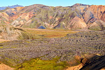 View of rhyolite mountains and solidified lava fields, Landmannalaugar volcanic massif, Fjallabak Nature Reserve, Iceland. September, 2023.