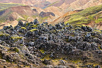 View of solidified lava fields with rhyolite mountains in background, Landmannalaugar volcanic massif, Fjallabak Nature Reserve, Iceland. September, 2023.