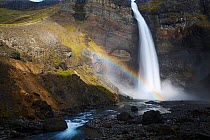 Haifoss waterfall cascading over steep cliffs with rainbow, Fossa river, Fossadalur, Iceland. September, 2023.